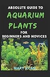 Absolute Guide To Aquarium Plants For Beginners And N