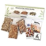 Essbare Insekten Mischung von 'SNACK insects' - 25g Insekten zum Essen - Grillen, Heuschecken & Mehlwü