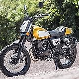 Baoblaze Cafe Racer Motorcycles Kurzer Kotflügel Vorne für GN125 MASH125