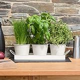 Ckb Ltd Pflanztöpfe für Kräuter, Metall, mit Abtropfschale, traditioneller Fensterbank, für die Küche, zum Anpflanzen eigener Kräuter zum Kochen, 3 Stück