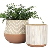 LA Jolie Muse Keramik Blumentopf Set für drinnen, Blumentöpfe für Tischflächen mit Sand glasiertem Boden, Abflussloch inklusive, Heimdeko Geschenk Terrakotta, 15.5cm+11.8