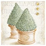 Eurographics CA1533 Hochwertiger Kunstdruck - Stillleben, Claudia Ancilotti, Medici 18 x 18