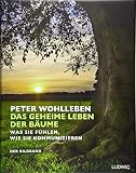 Das geheime Leben der Bäume: Was sie fühlen, wie sie kommunizieren. Der Bildband. Mit dem vollständigen Text der Originalausgab