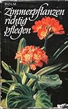 Zimmerpflanzen richtig pflegen. 14
