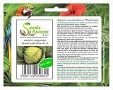 Stk - 330x Weißkohl Braunschweiger Bewahr spät Gemüse Garten Pflanzen - Samen K179 - Seeds Plants Shop Samenbank Pfullingen Patrik Ip