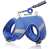 LQDMDM Welpen-Kätzchen-Halsband, Verstellbares Hunde-Katzengeschirr-Leine-Set Reflektierendes Haustier-Geschirr Mit Gehleine Für Kleine Mittelgroße Hunde-Chihuahua,Blau,M