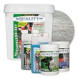 AQUALITY 5er Teichpflege Komplettset (Perfekte Gartenteich-Pflege. Wasseraufbereiter, Teichklärer, Teich-Aktiv und Fadenalgen-Vernichter + GRATIS Filtervlies), Set-Größe:Base Teichpflege-S