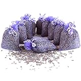Quertee 10 x Lavendelsäckchen Duftsäckchen mit Lavendelblüten als Mottenschutz gegen Motten im Kleiderschrank mit französischen Lavendel zum Entspannen und Schlafen (10 x 10 g Lavendel)