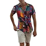 BaZhaHei Herren Neu Sommer Oversize Vintage T-Shirt Freizeithemd Freizeit Hemd Kurzarm Slim Reise Hawaiihemd für Männer Ethnische Casual Baumwolle Leinen Druck Bluse (5XL, Multicolor)