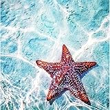 5D Diamant Malerei Set,Seestern Diamond Painting,Perlen Bild Liefert Kunsthandwerk,Leinwand Wand Decor 30x30