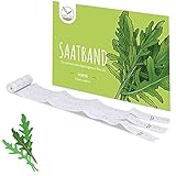 5m Saatband Rucola Samen (Eruca sativa) - Aromatisch, nussige Salatrauke ideal für die Anzucht im Garten, Balkonkasten & Gemüseb