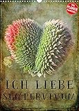 Ich liebe Sempervivum (Wandkalender 2022 DIN A3 hoch)