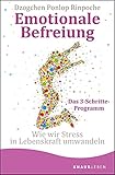 Emotionale Befreiung: Wie wir Stress in Lebenskraft umw