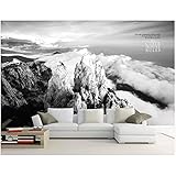 3d fototapete wandbild schwarz und weiß berg wolken landschaft dekoration wohnzimmer wandtapete 140x100