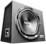 Sony XS-NW1202E Auto Subwoofer (1800 Watt und RMS 420W )