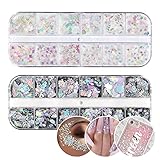 2 Kisten Holografisch Nagel Glitzer Pailletten Formen gemischt Irisierend Nail Art Glitzerflocken - Schmetterling Herzen Star Mädchen DIY Basteln für Harz/Becher/Schleim/Handwerk/Make-up