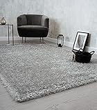 the carpet Willow Langflor, Hochflor Teppich, Wohnzimmer, Schlafzimmer, Modern, Weich, Matt, Einfarbig, Unifarben, Silber 200 x 290