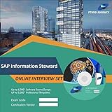 SAP Information Steward Complete Unique Collection Interview Video Training Solution Set (DVD)