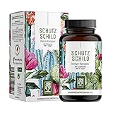 Immunsystem-Komplex - 500mg Echinacea mit Vitamin C Zink Selen L-Histidin & Kalmegh - Immunsystem stärken * vegan & ohne Zusätze - 120 Echinacea Purpurea Kapseln für 60 Tag