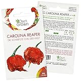 Chili Samen Carolina Reaper: Die schärfste Chili der Welt - Premium Carolina Reaper Samen zum Anbau von Chili Pflanzen für Balkon und Garten – 5 Chilli Samen für frische Chilipflanzen von OwnGrow