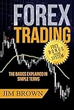 FOREX TRADING: The Basics Explained in Simple Terms (Forex, Forex Trading System, Forex Trading Strategy, Oil, Precious metals, Commodities, Stocks, Currency Trading, Bitcoin, Band 1)