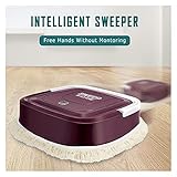 Kehrmaschine Auto Mopping Roboter Staubsauger Automatische Kehrmaschine Bodenreiniger Teppich Sauber Wiederaufladbare Trockene Nass Haushaltsreinigung Boden Kehrhelfer zu Hause (Color : Purple)