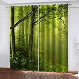 YTSDBB Verdunkelungsvorhang mit Ösen Nebelgrüner Wald B 110 x H 95 cm 3D Digitaldruck Druckmuster Öse Thermisch isoliert 90% für Schlafzimmer Wohnzimmer ​Kinderzimmer Junge mit M