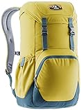 deuter Walker 20 Tagesrucksack