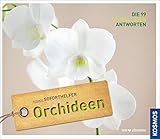 Soforthelfer Orchideen: Die 99 schnellsten Lösung