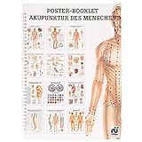 Akupunktur des Menschen Mini-Poster Booklet Anatomie 34x24 cm, 12