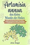 Artemisia annua - das kleine Wunder der Natur: Wie Sie Artemisia annua anwenden können, um das Immunsystem zu stärken, Entzündungen zu entgegenwirken und Verdauung zu verbessern. Inkl. Rezep