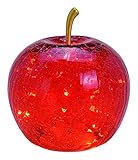Jürgen Schleiß Konfektion Dekoleuchte Apfel mit Stiel & LED Lichterkette, Apfel Lampe, Dekolampe, Tischleuchte, Apfellampe (rot)