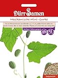 Dürr Samen 4370 Mexikanische Mini-Gurke (Gurkensamen)