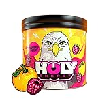 HOLY Energy® Gaming Booster 'Raspberry Raptor' mit Himbeere & Yuzu Geschmack | 50 Portionen mit NewCaff™, Grüntee und 14 weiteren Inhaltstoffen | Vegan & mit 100% natürlichen F