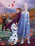 Disney Frozen 2 Kinder-Zimmer-Teppich Fairytale 100 cm x 133 cm rutschhemmend lärmhemmend Kinderteppich Spiel-Teppich Spielunterlage Mädchen-Teppich Anna ELSA Olaf Sven Kristoff Arendelle Nokk