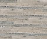 KRONOTEX Laminat Eiche Schiffsboden Dynamic D 3066 Cloud I für 9,81 €/m²