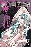 Jujutsu Kaisen, Vol. 12