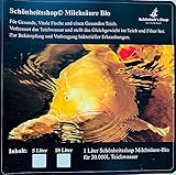 Milchsäure Bio 20 Liter Milchsäurebakterien Teich Bakterien zur Teichpflege und für V