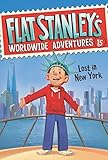 Flat Stanley's Worldwide Adventures #15: Lost in New York (English Edition)