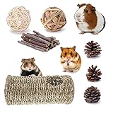 LLGLEU 7 Stück Hamster Seegras Tunnels 19,5x10cm Natürliche Grasbälle Kaubälle Kiefernzapfen Apfel-Sticks Kleintiere Spielzeug Trainingsröhren für Hamster Rennmäuse C