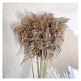 Künstliche Blumen Pampas Gras Pampas Gras Dekor Pampas Gras Grau Pampas Gras Bouquet Löwenzahn Gras Gefälschte Blume Künstliche Blume Blumenstrauß Dekorative Getrocknete Blumen Artificial B