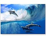 Paul Sinus Art Leinwandbilder | Bilder Leinwand 120x80cm spielende Delfine im M