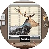 ZXD Aluminium Plissee Faltrollo, Blackout Horizontal Rollo Halterungen Leicht Zu Schneiden, Inside Mount Alle Montageteile Enthalten (Color : A, Size : 50x210CM)