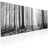 murando Acrylglasbild Wald 150x60 cm 5 Teilig Wandbild auf Acryl Glas Bilder Kunstdruck Moderne Wanddekoration - Waldlandschaft Natur Panorama Baum c-B-0285-k