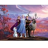 Fototapete FROZEN - 252 x 182cm - FTDXL1959