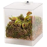 Swampworld Mini-Terrarium inkl. LED-Beleuchtung, Fleischfressende Pflanze (Venusfliegenvalle) Natur Moos, Erde, Feuchtigkeitsmesser, Raindrops- 12 x 12 x 15