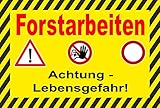 Schild 30x20cm Forstarbeiten - 3mm Aluverbund - 20 V