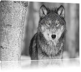 wunderschöner wachsamer Wolf schwarz/weiß Format: 120x80 auf Leinwand, XXL riesige Bilder fertig gerahmt mit Keilrahmen, Kunstdruck auf Wandbild mit Rahmen, günstiger als Gemälde oder Ölbild, kein Poster oder Plak
