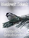 Winterliches Graubü