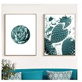 XIANGPEIFBH Drucken Sie Leinwand Malerei Green Cactus Nordic Poster und Drucke Wand Pop Art Pflanze Wandbilder für Wohnzimmer Dekoration 30x50cm (11,8'x19.7) x2 mit R